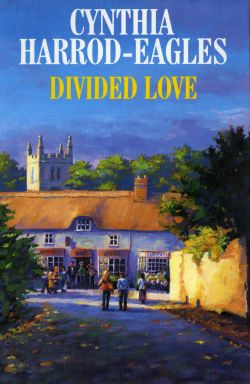 Never Love a Stranger book cover