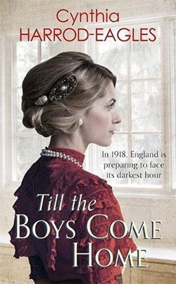 Till The Boys Come Home book cover